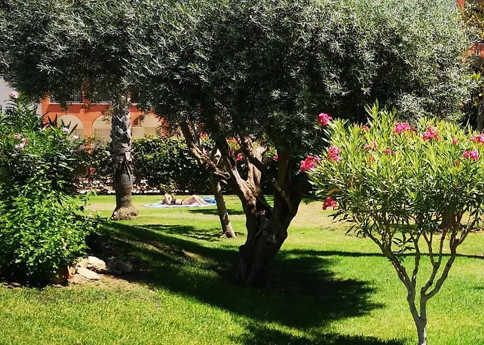 With Terrace And Pool *