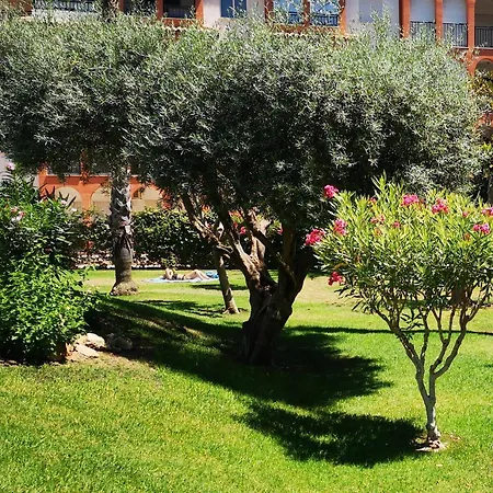 With Terrace And Pool *