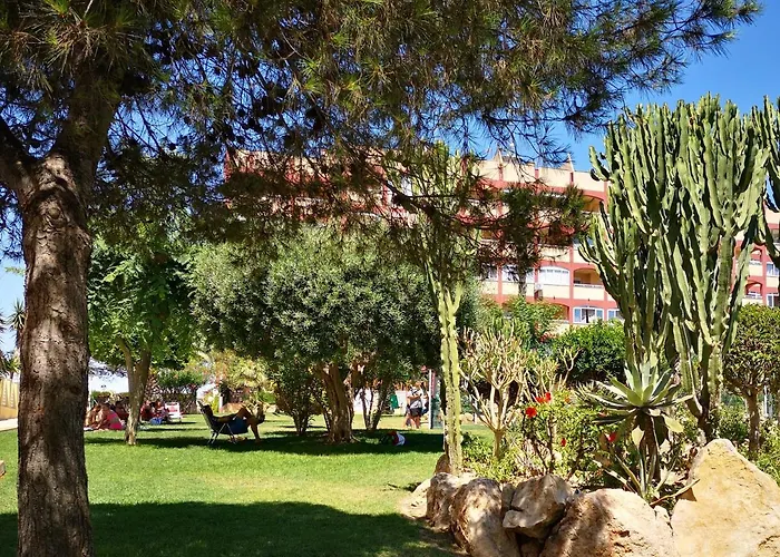 With Terrace And Pool Apartment